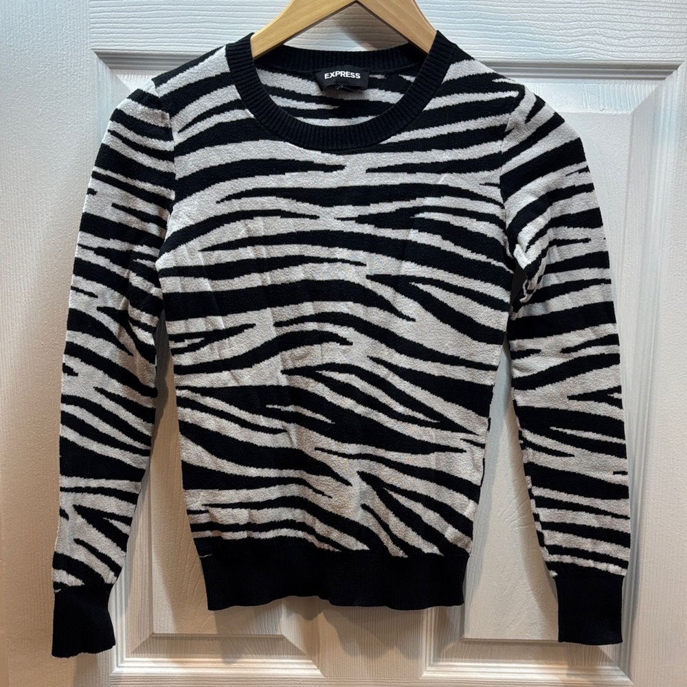 Express Zebra Striped Sweater in Black and White